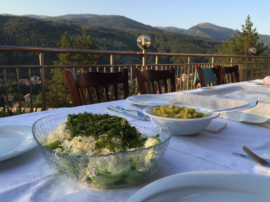 Mala Planina Guest House Iskrets Eksteriør billede